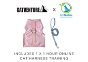 Cat Harness Training Bundle