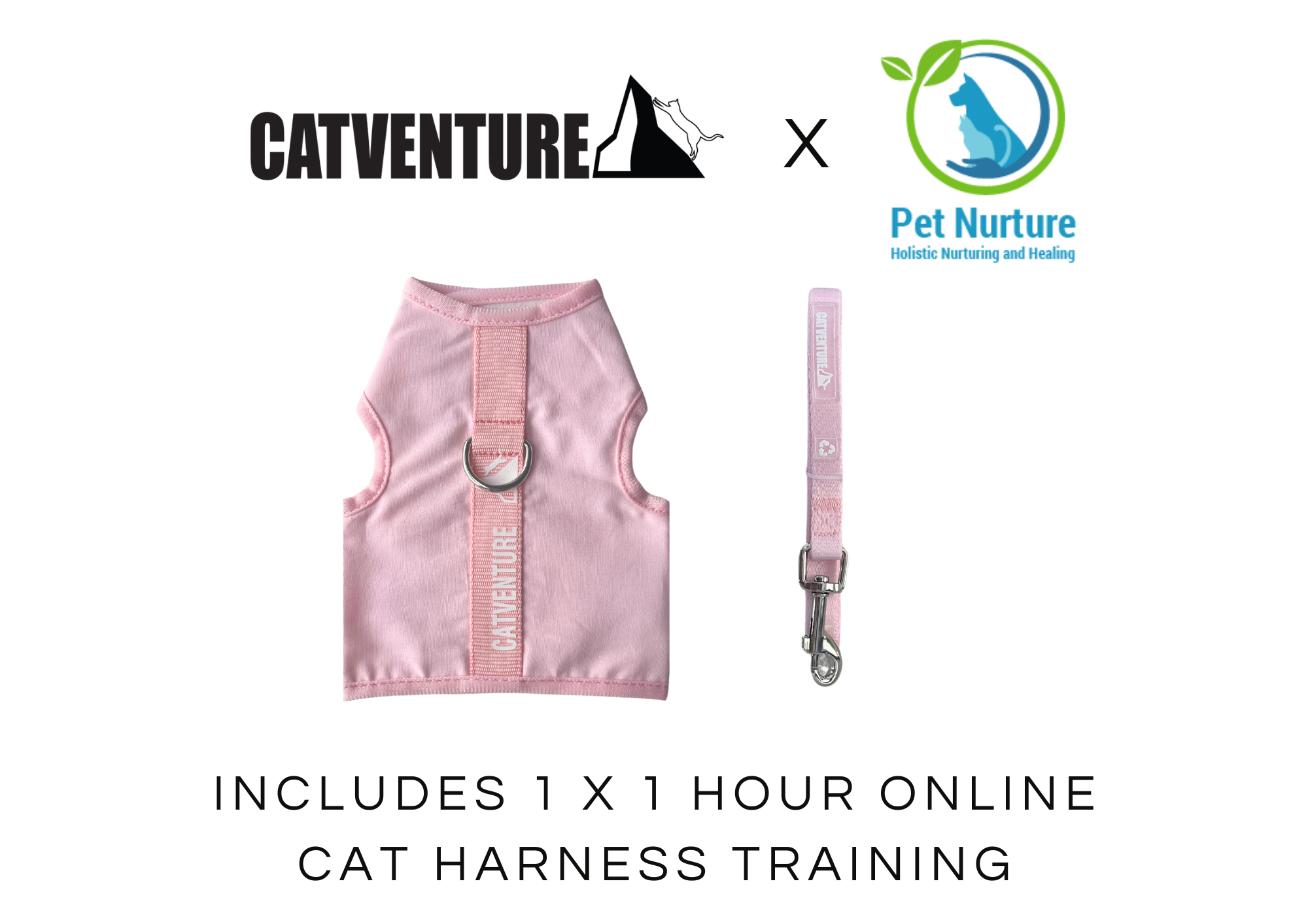 Cat Harness Training Bundle