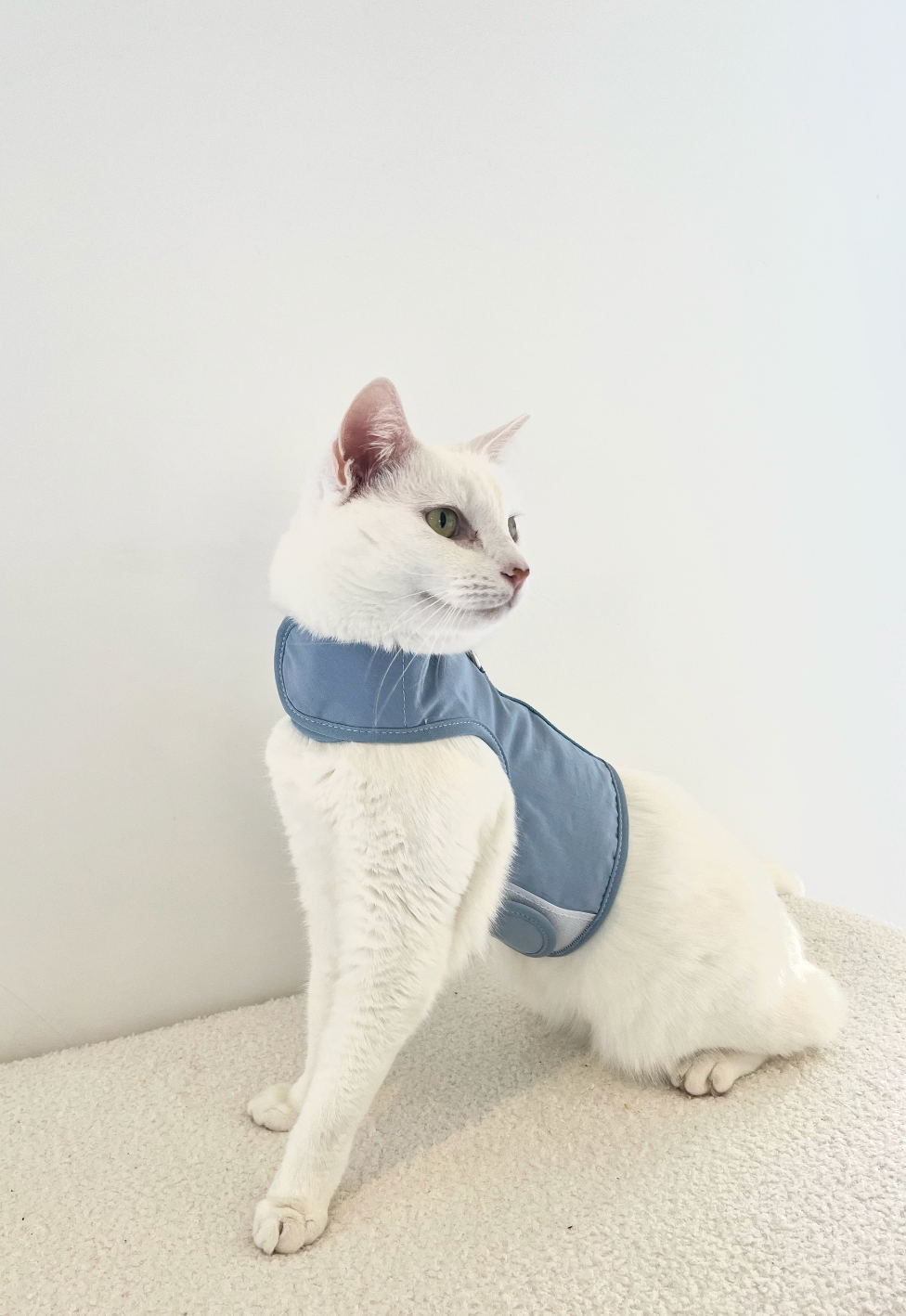 Catventure - Escape Proof Cat Harness - Balu Blue