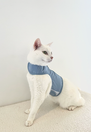 Catventure - Escape Proof Cat Harness - Balu Blue