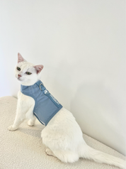 Catventure - Escape Proof Cat Harness - Balu Blue
