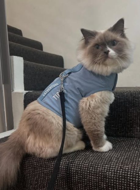 Support and Resources: 