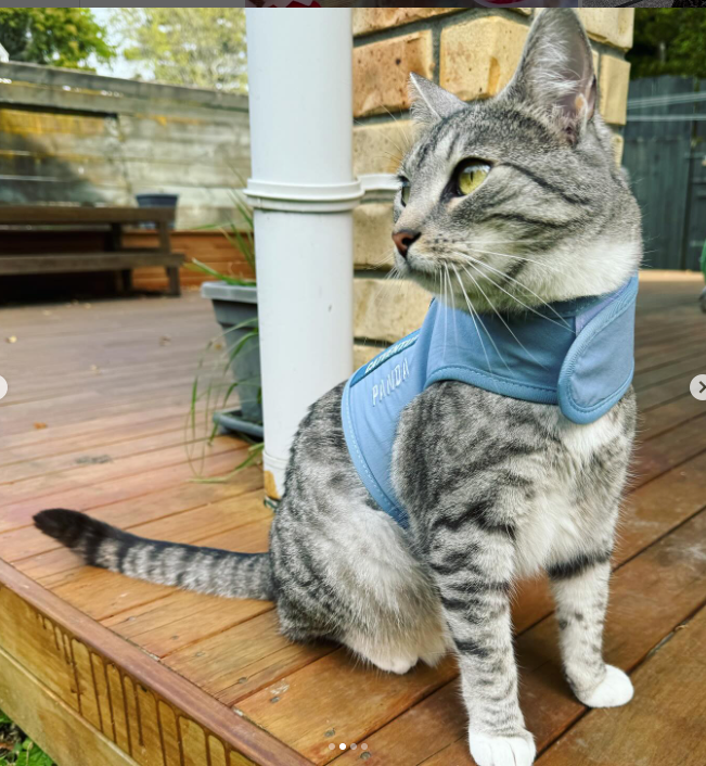 Optimal Fit and Comfort: 