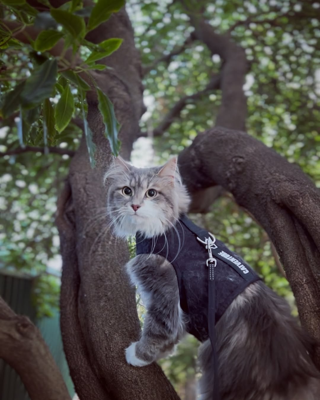 Optimal Fit and Comfort: 