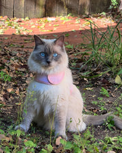 Catventure - Escape Proof Cat Harness - Pink