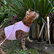 Catventure - Escape Proof Cat Harness - Pink