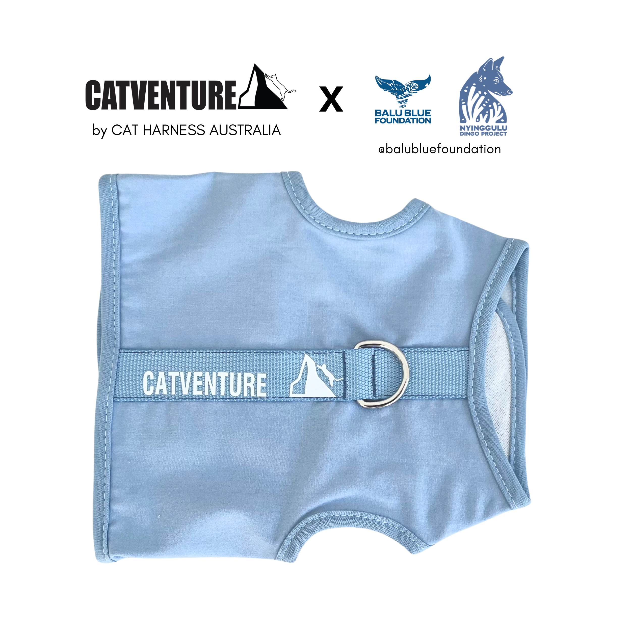 Catventure - Escape Proof Cat Harness - Balu Blue