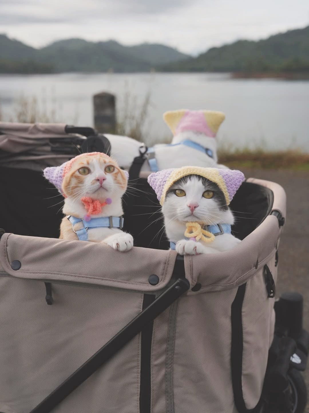 Camper Large Pet Stroller - Beige