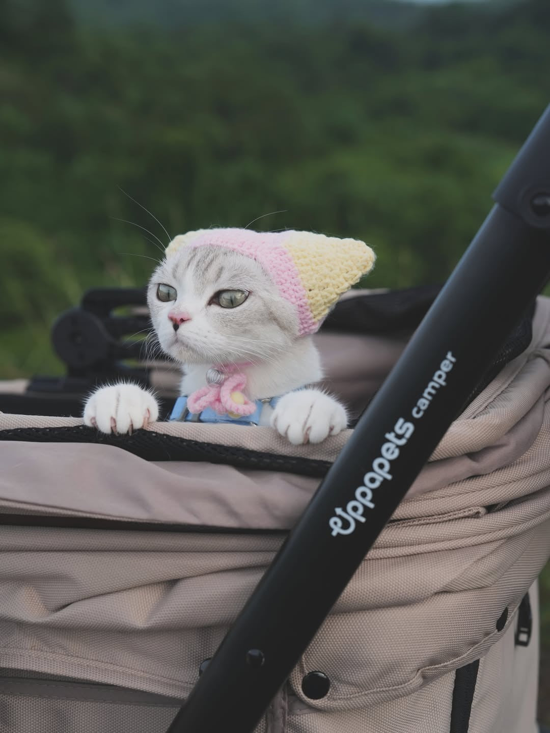 Camper Large Pet Stroller - Beige