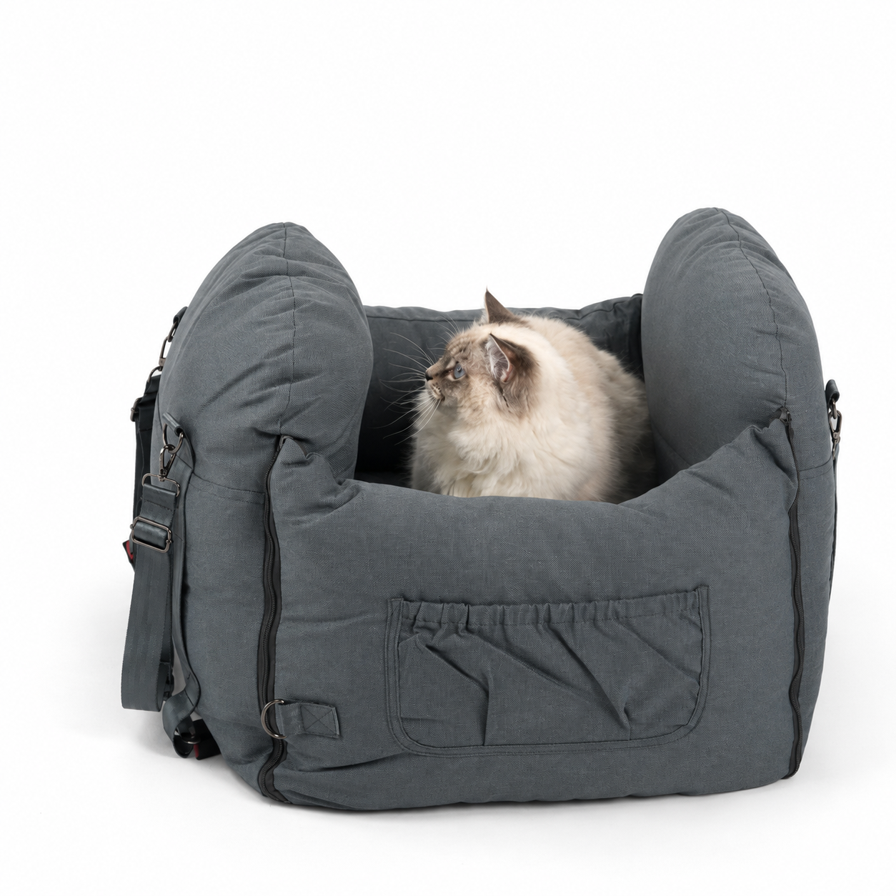 anne-grey-pet-studio.png