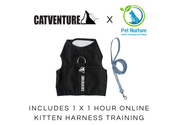 Kitten Harness Training Bundle