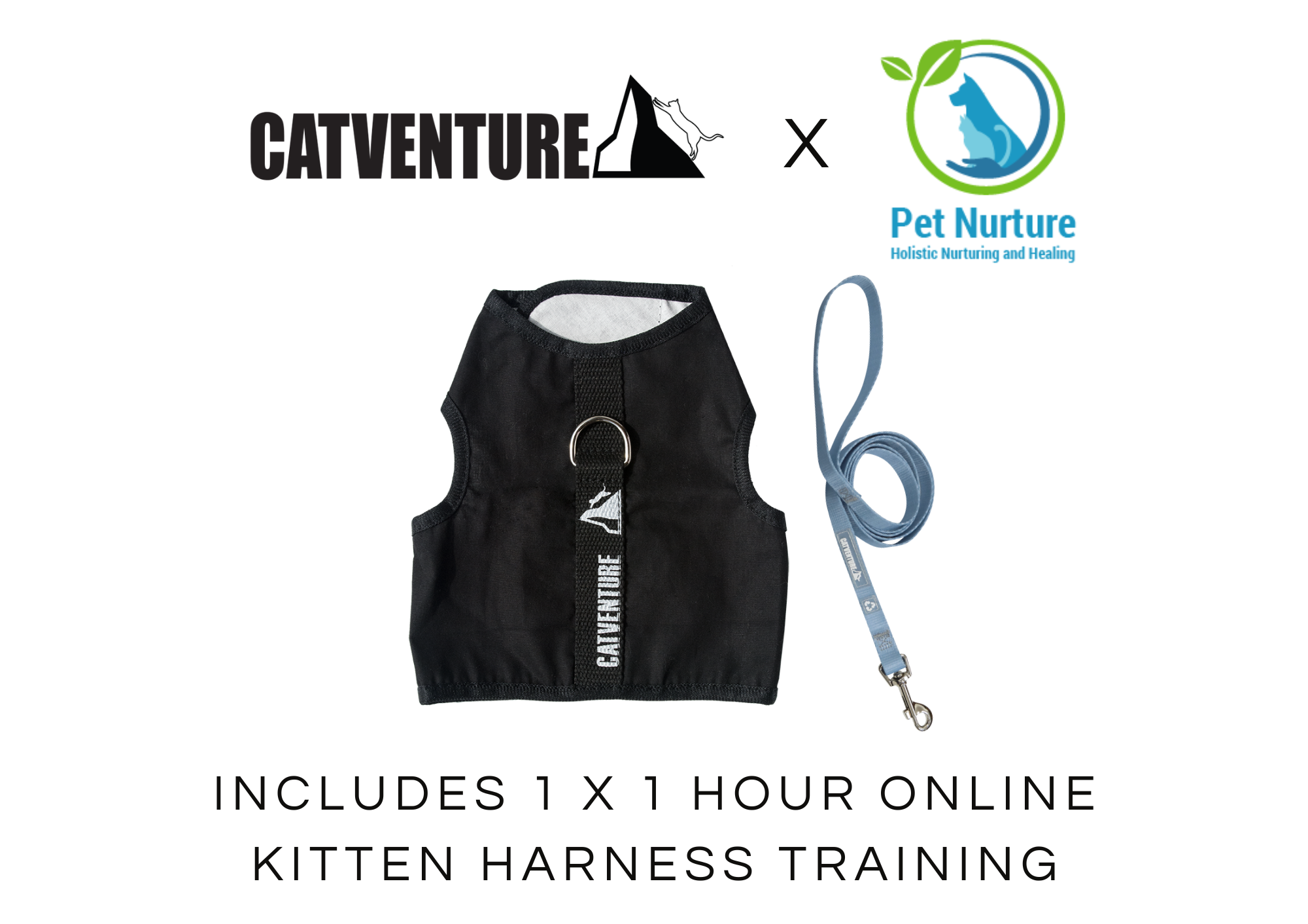 Kitten Harness Training Bundle
