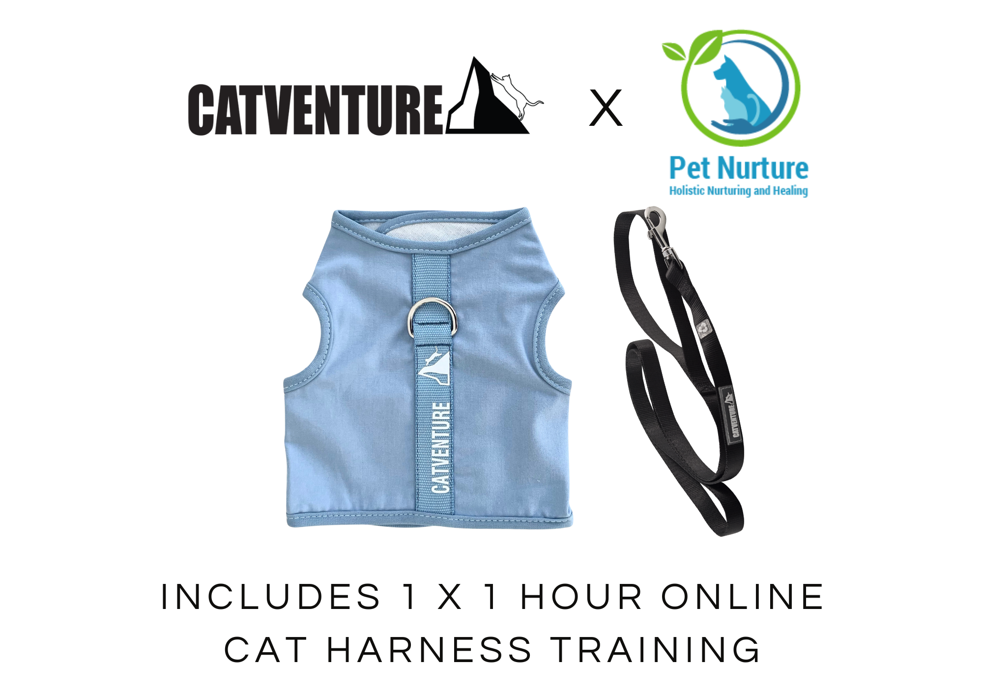 Kitten Harness Training Bundle