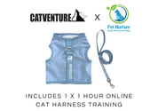 Kitten Harness Training Bundle