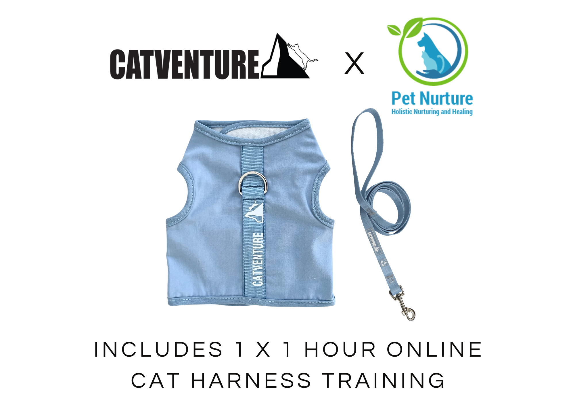 Kitten Harness Training Bundle
