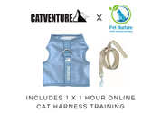 Kitten Harness Training Bundle