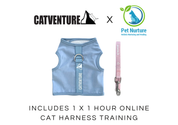 Cat Harness Training Bundle