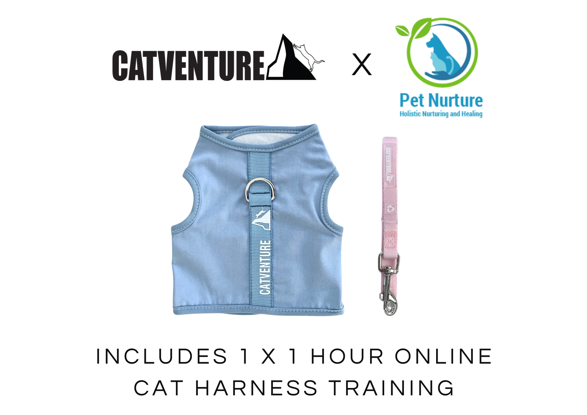 Kitten Harness Training Bundle