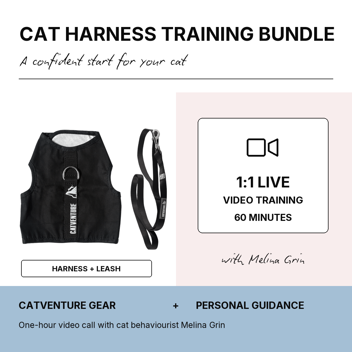 Cat Harness Training Bundle - Black