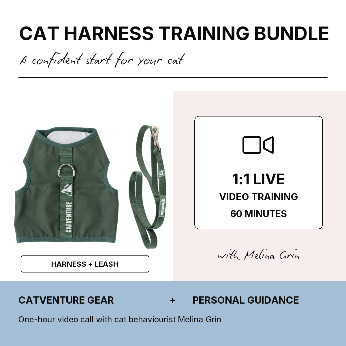 Cat Harness Training Bundle - Green