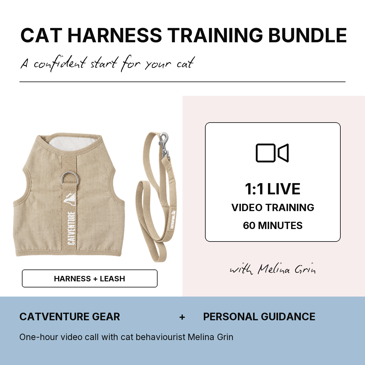 Cat Harness Training Bundle - Natural