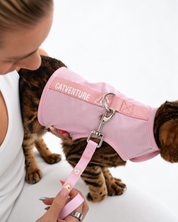 Catventure Starter Pack - Pink