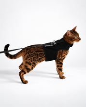 Catventure Starter Pack - Black
