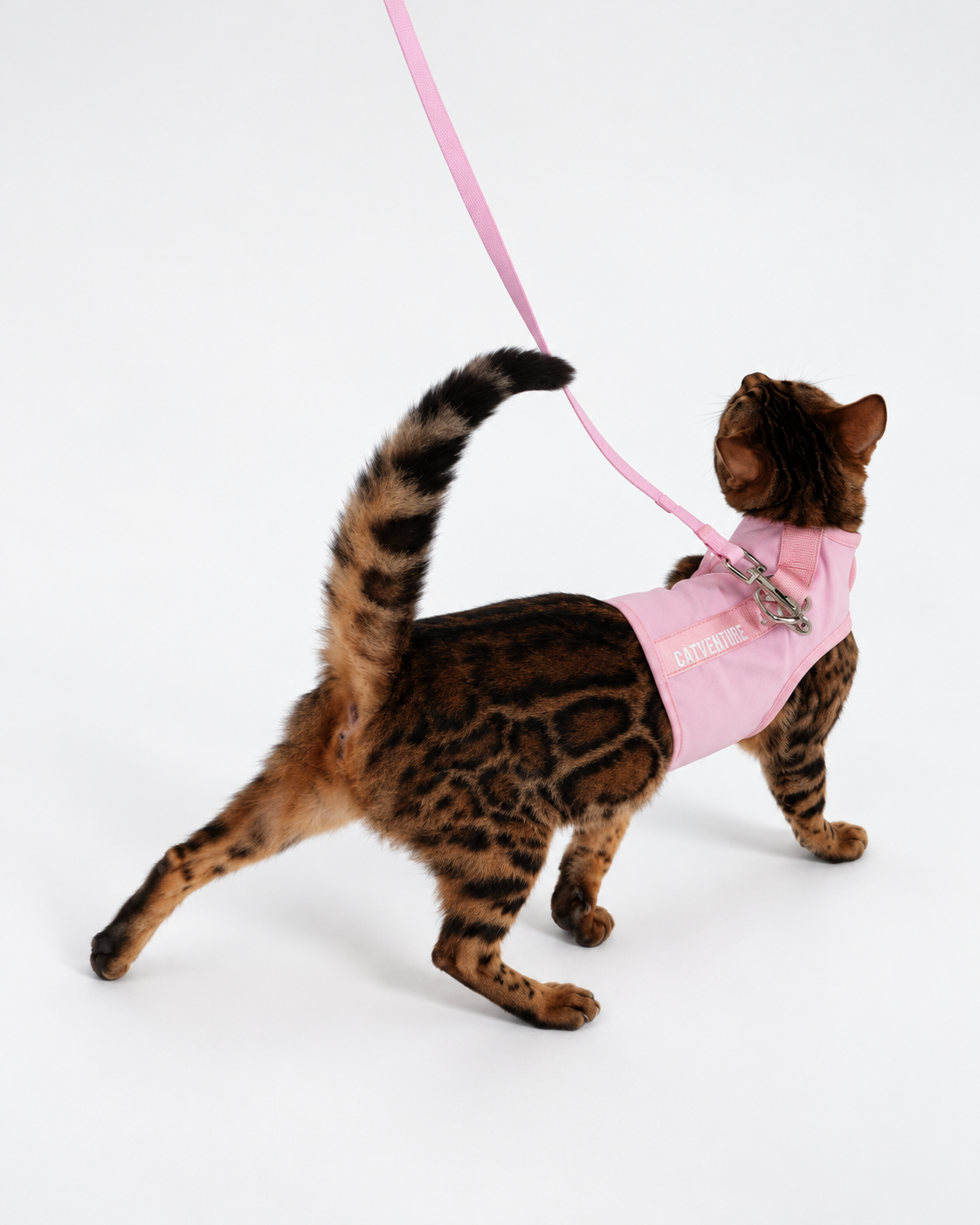 Catventure Starter Pack - Pink