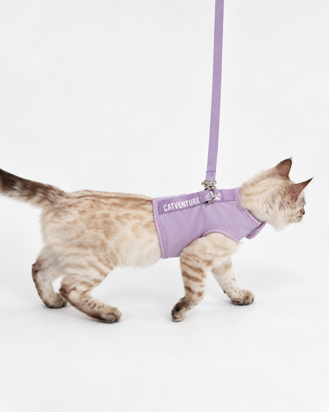 Catventure Starter Pack - Lilac