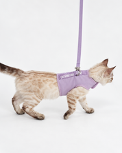 Catventure Starter Pack - Lilac