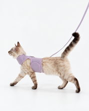 Catventure Starter Pack - Lilac