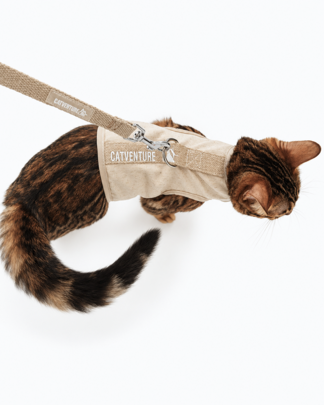 Catventure Starter Pack - Natural