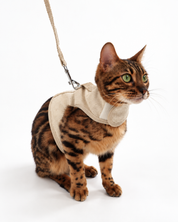 Catventure Starter Pack - Natural