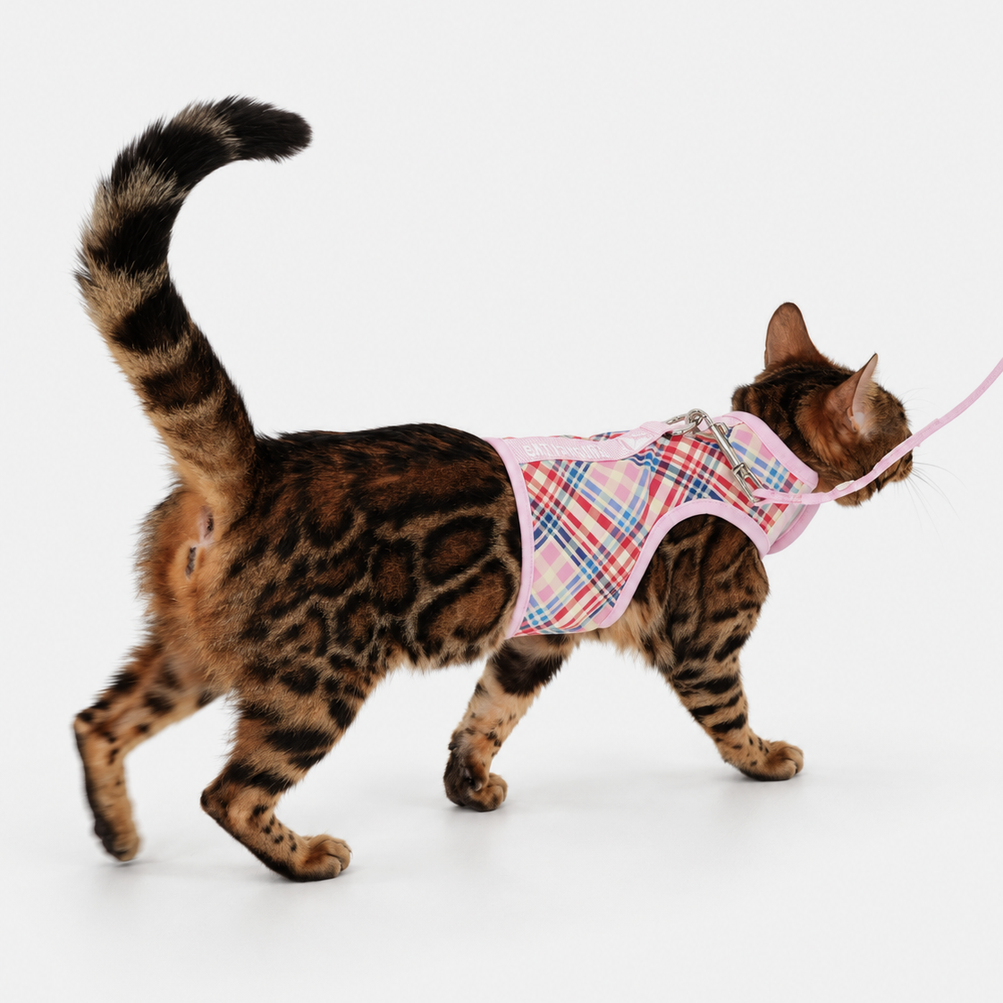 exec-f9e658d3-d0cc-4fe4-90df-b37c09e3cdf0.png