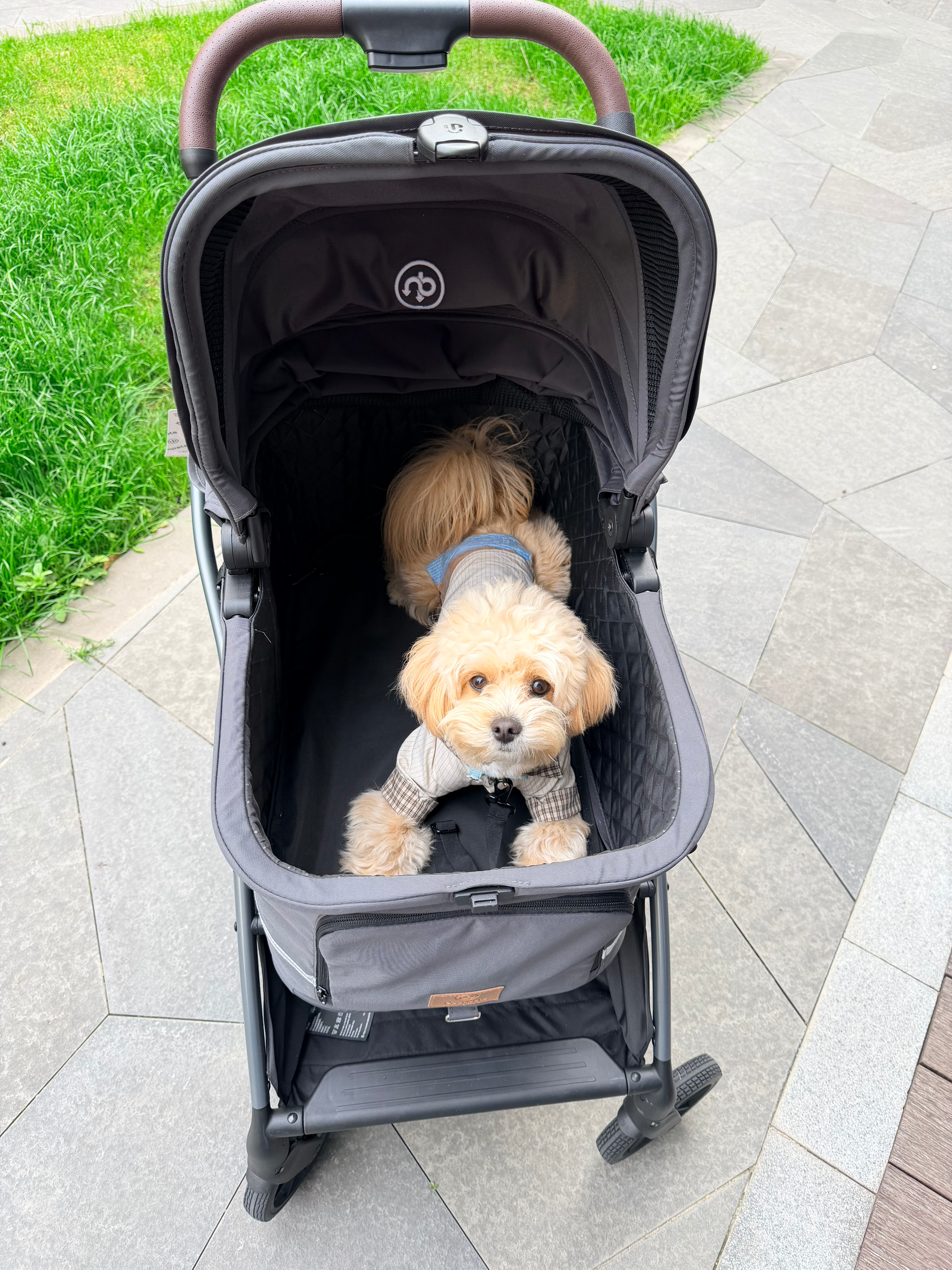 Hybrid Pet Stroller - Charcoal