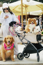Hybrid Pet Stroller - Beige