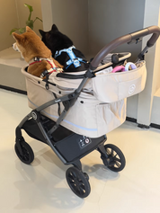 Hybrid Pet Stroller - Beige
