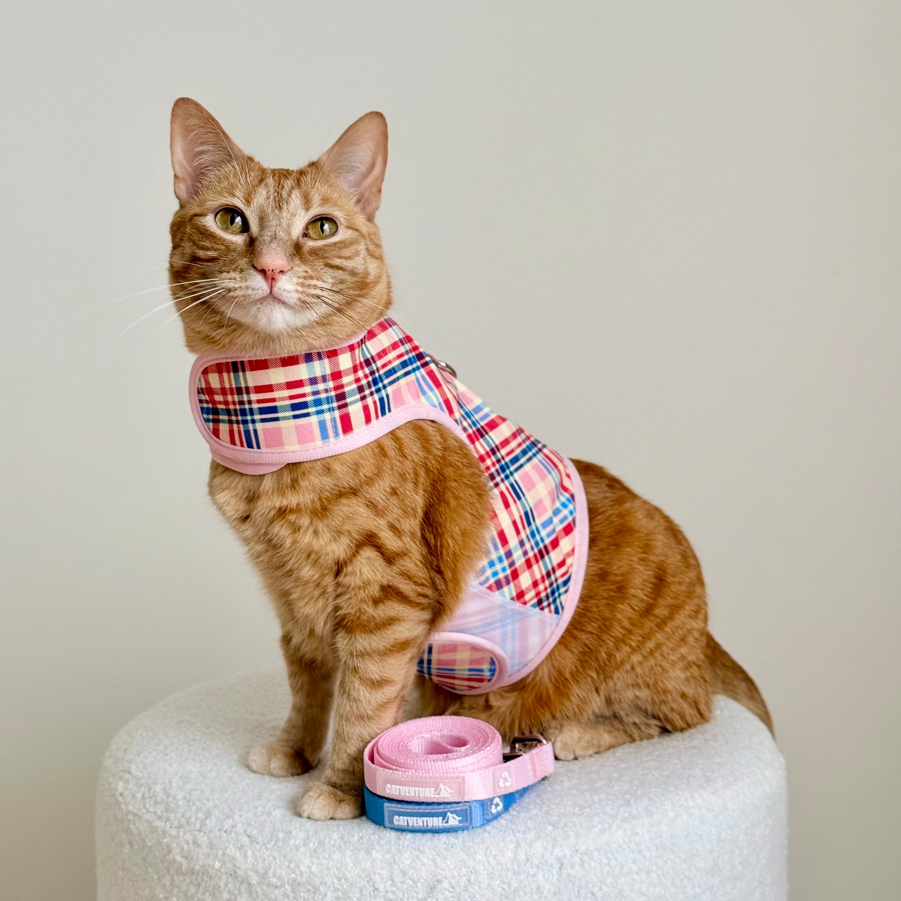 Princess Honeybelle X Catventure Cat Harness - Pink Tartan