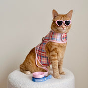 Princess Honeybelle X Catventure Cat Harness - Pink Tartan