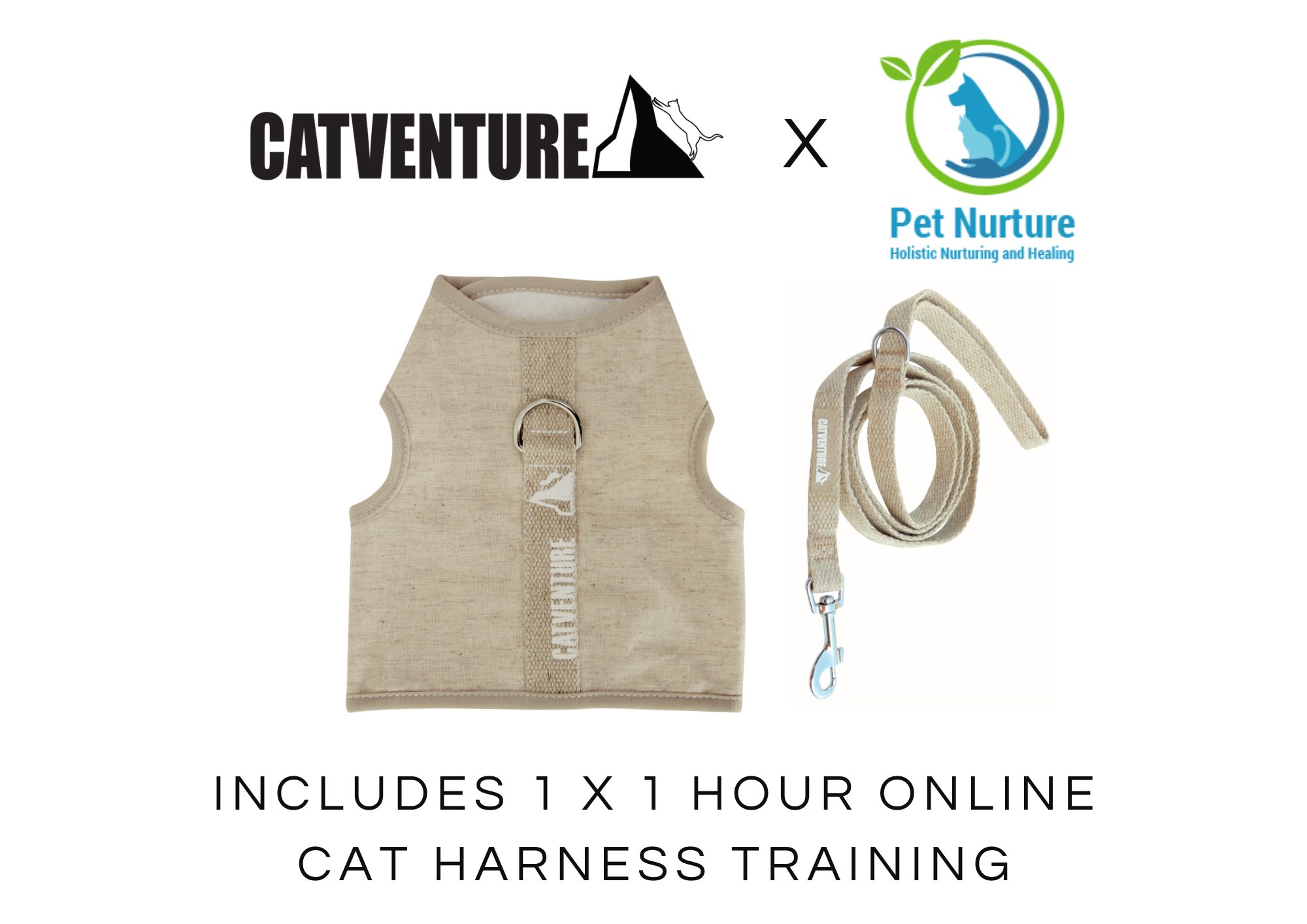 includes1x1HOURONLINEKITTENHARNESSTRAINING_2.png