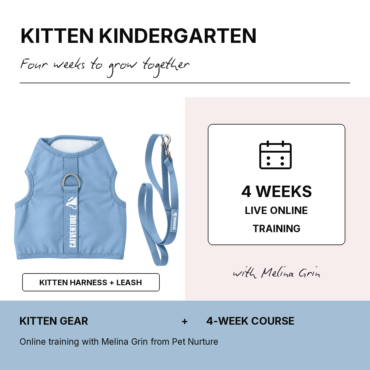 Kitten Kindergarten 4 Week Bundle - Balu Blue