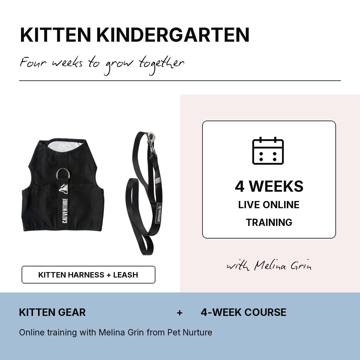 Kitten Kindergarten 4 Week Bundle - Black