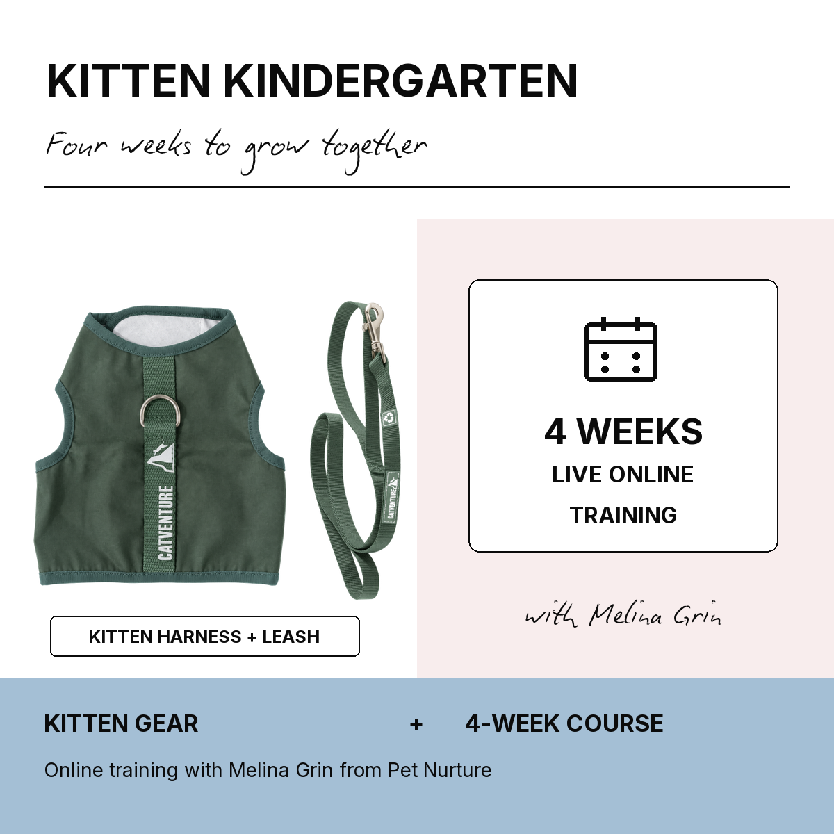 Kitten Kindergarten 4 Week Bundle - Green