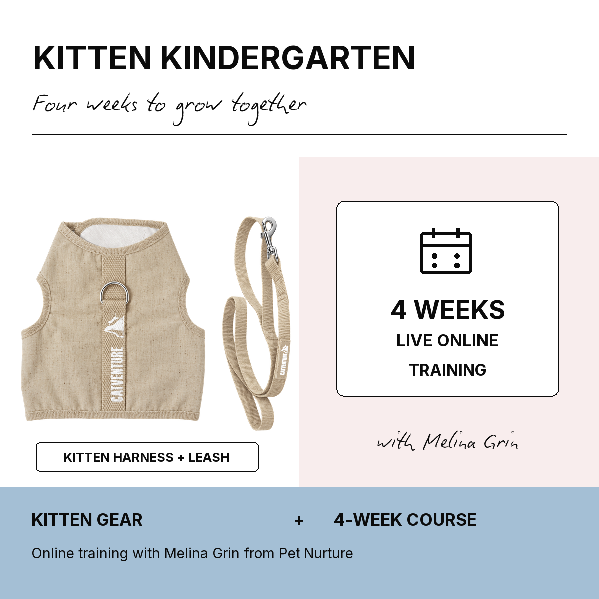 Kitten Kindergarten 4 Week Bundle - Natural