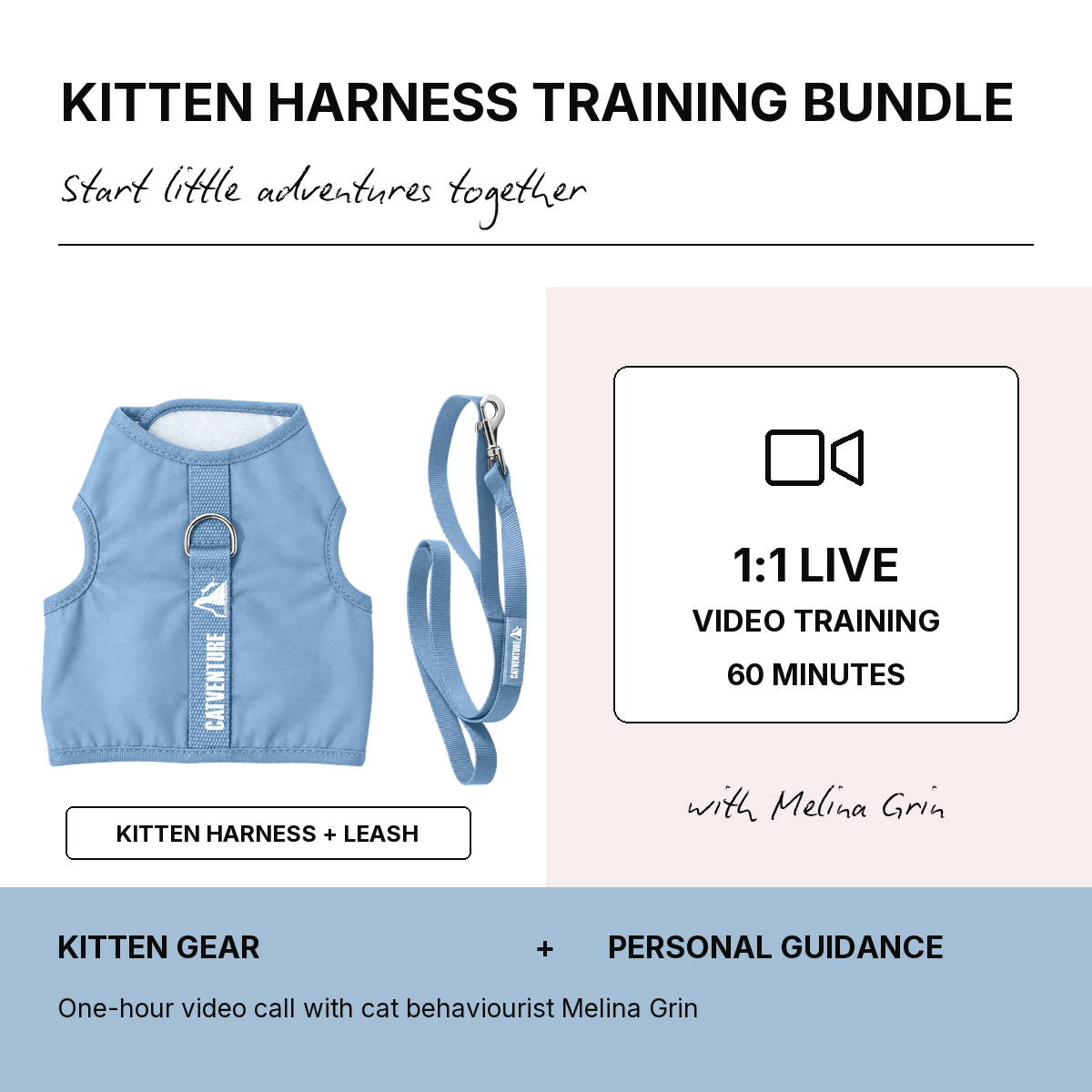 Kitten Harness Training Bundle - Balu Blue