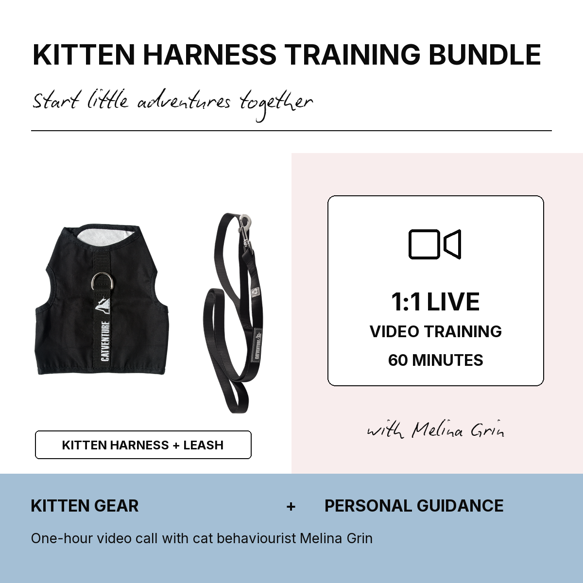 Kitten Harness Training Bundle - Black