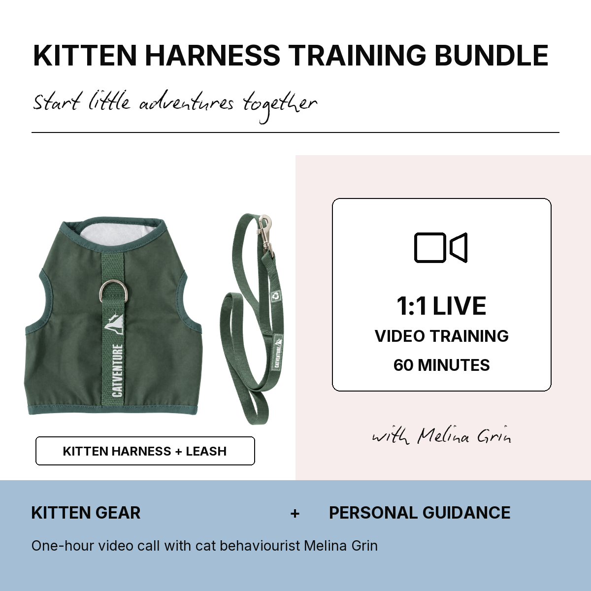 Kitten Harness Training Bundle - Green