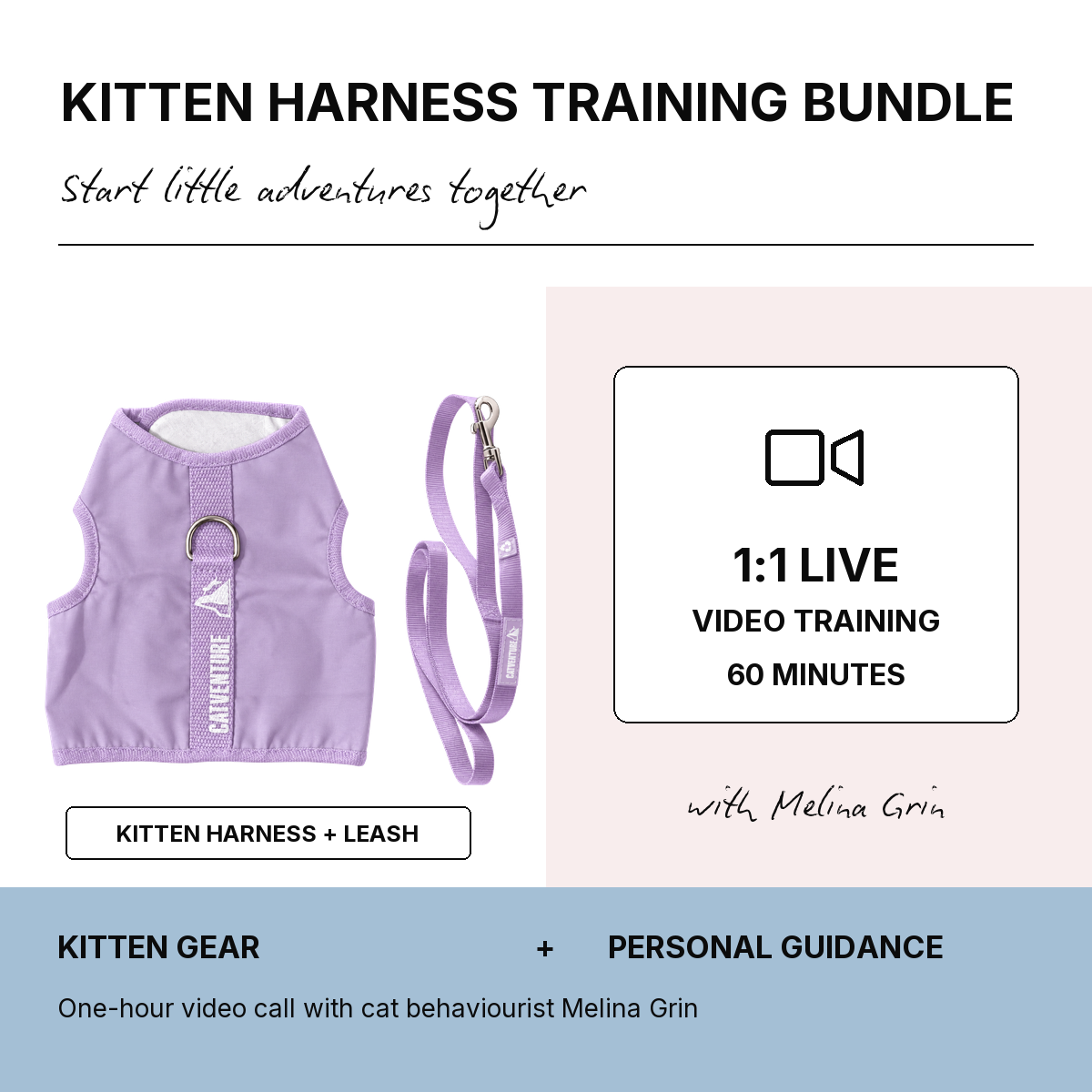 Kitten Harness Training Bundle - Lilac