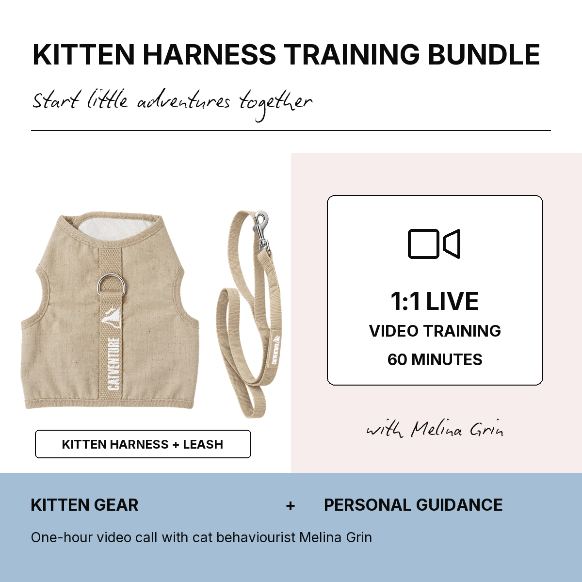 Kitten Harness Training Bundle - Natural