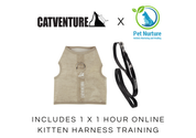 Cat Harness Training Bundle